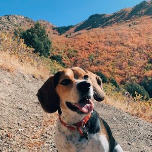 Meet your Posher, Calvin